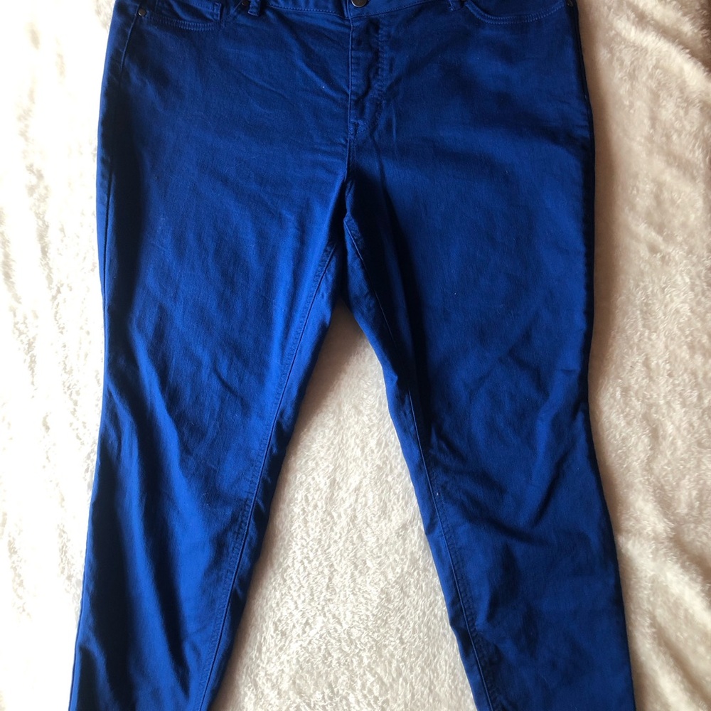 d. jeans Royal Blue Pants